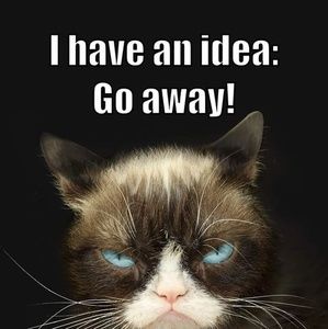 Meet your Posher, Joey